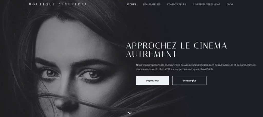 meilleurs realisateurs et compositeurs du monde, boutique cinema, ventes de films, films en streaming, ventes de dvd